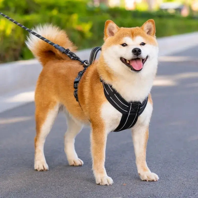 no pull dog harness with handle for small medium dogs, secure black harness on Shiba Inu for walking and training