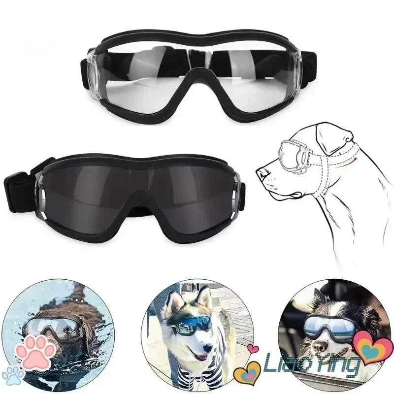 S9dffc234d1c341fe96fdaed9f484999dh - bestdoggylife.shop