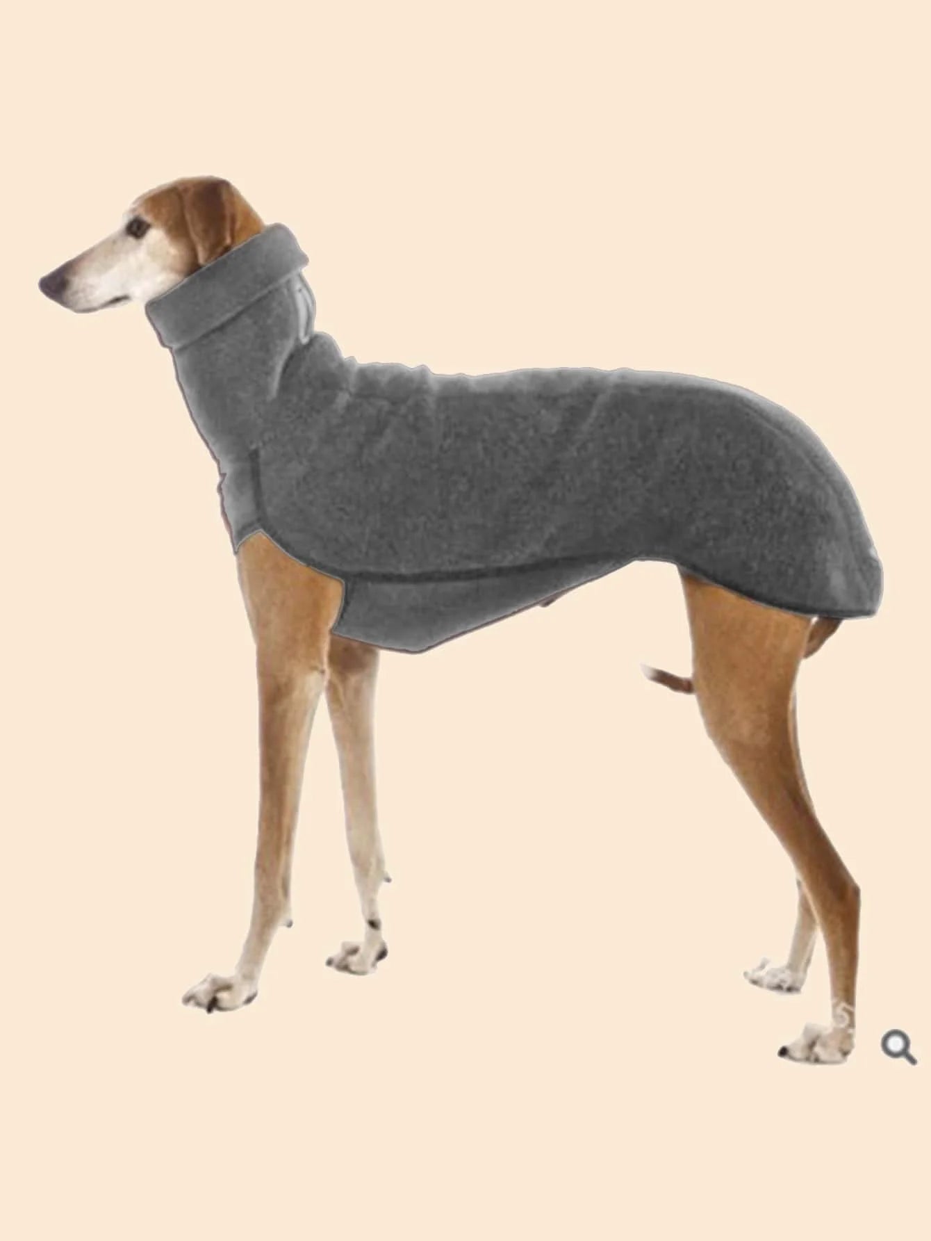Sa2406dec0df34f2db55ba699e641c154U - bestdoggylife.shop