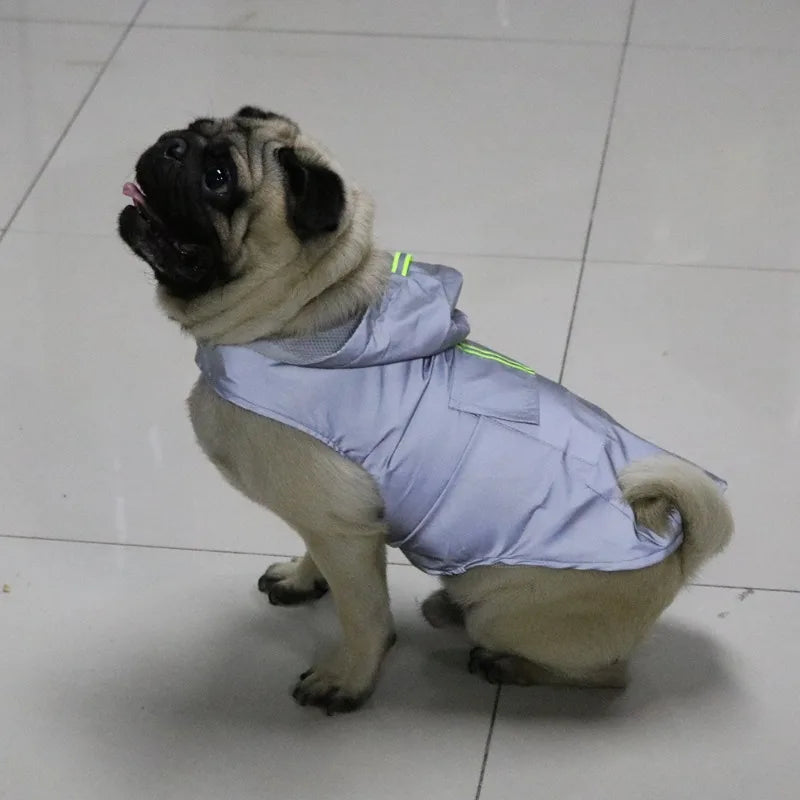 Sa36786fba94448919e6a3a4f2aea3faaS_0295075e-beb3-46e1-89f5-e5a88857ba4f - bestdoggylife.shop