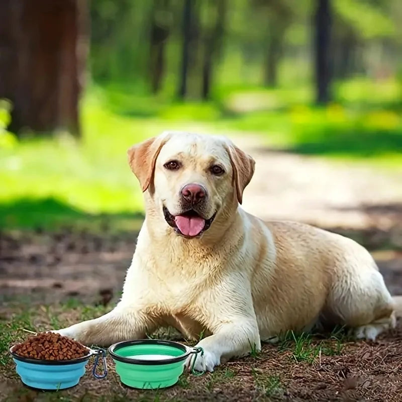 Sa3e1c155494d4795a8290a420f78cdafr - bestdoggylife.shop