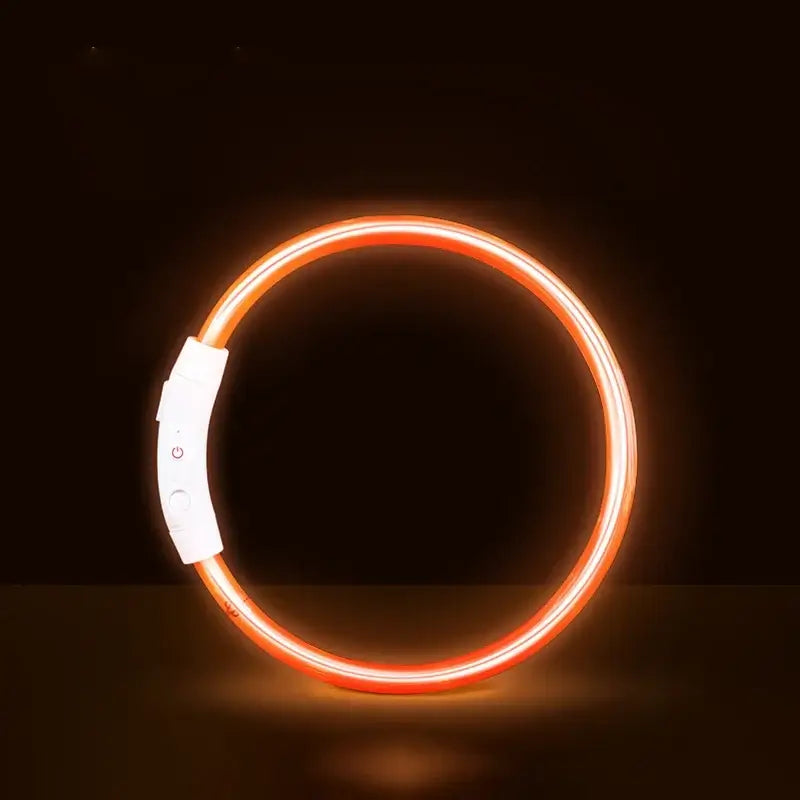 Orange LED dog collar, USB rechargeable glowing collar for small to large dogs, night safety anti-lost pet accessory