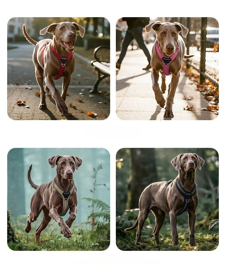 Sa4bc2707feb54a35b1d97e2e80f4aa34K - bestdoggylife.shop
