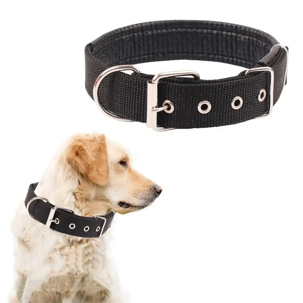 adjustable nylon dog collar black with metal buckle and traction ring for dogs, shown on a golden retriever
