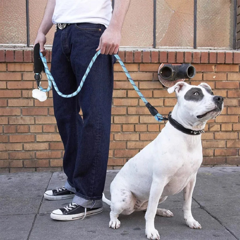 Sac02fac63706411886442898ef3d0b645 - bestdoggylife.shop