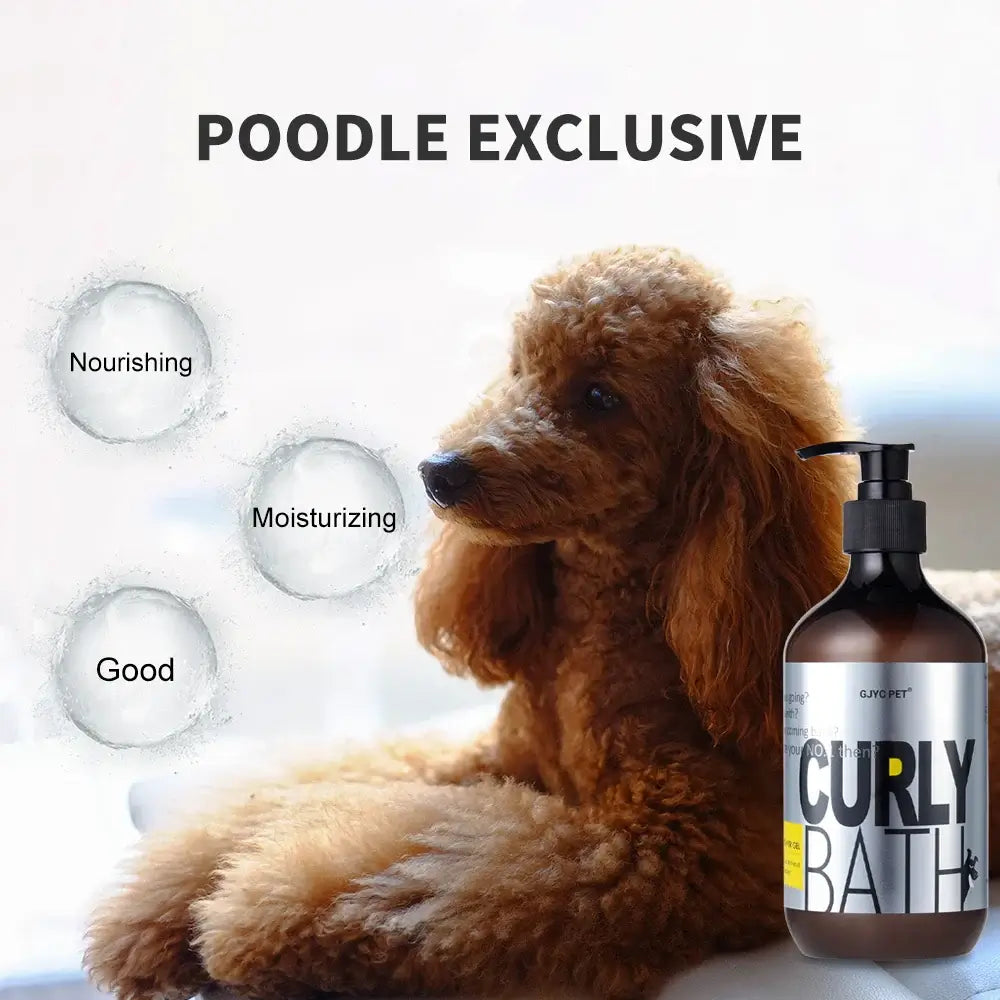 Poodle Dog Shampoo Gentle Brightening Formula Enhances Fur Shine Softness Cleansing Deodorant For Dogs next to a curly poodle.