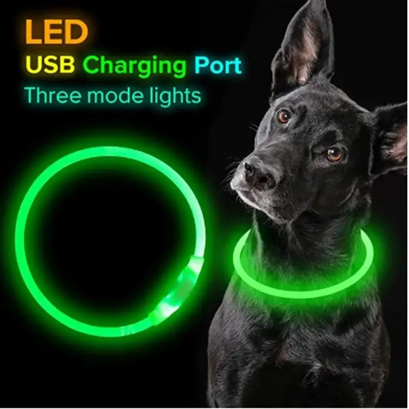 LED dog collar light USB charging port glowing green safety collar for nighttime pets