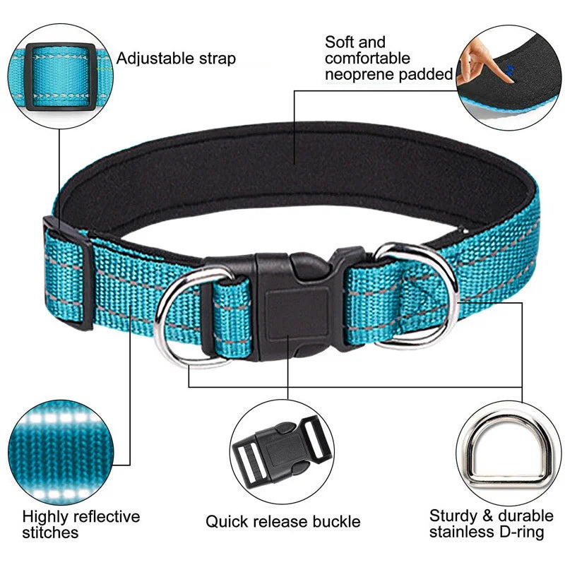 Safb2e35fb543453cbf76cf16859e331ch_628a4ce5-09f7-4e44-8dfb-7576d885dd4d - bestdoggylife.shop