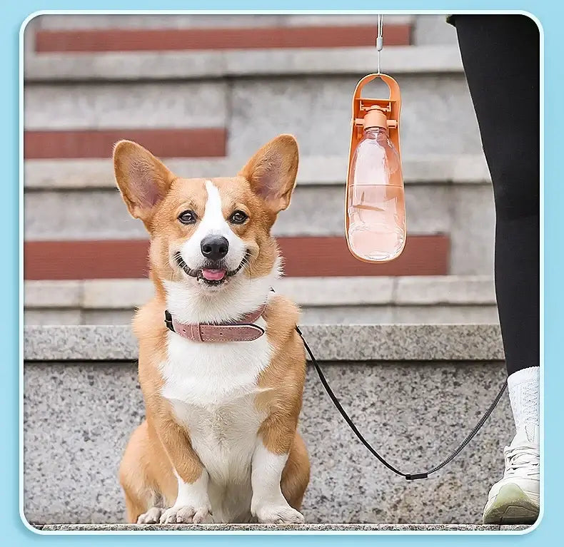 Portable dog water bottle for small and large dogs, foldable lightweight drinking bowl for outdoor travel, walking, and running