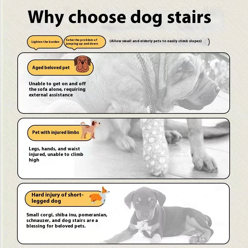 Sb32e197aca5f4c089f29851610a4b99bB - bestdoggylife.shop