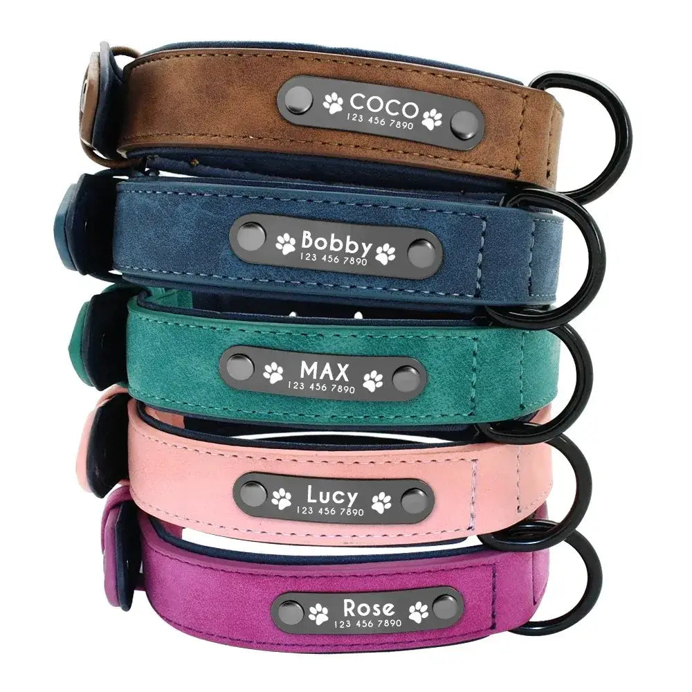 personalized leather dog collar with custom name tags for small, medium, and large dogs