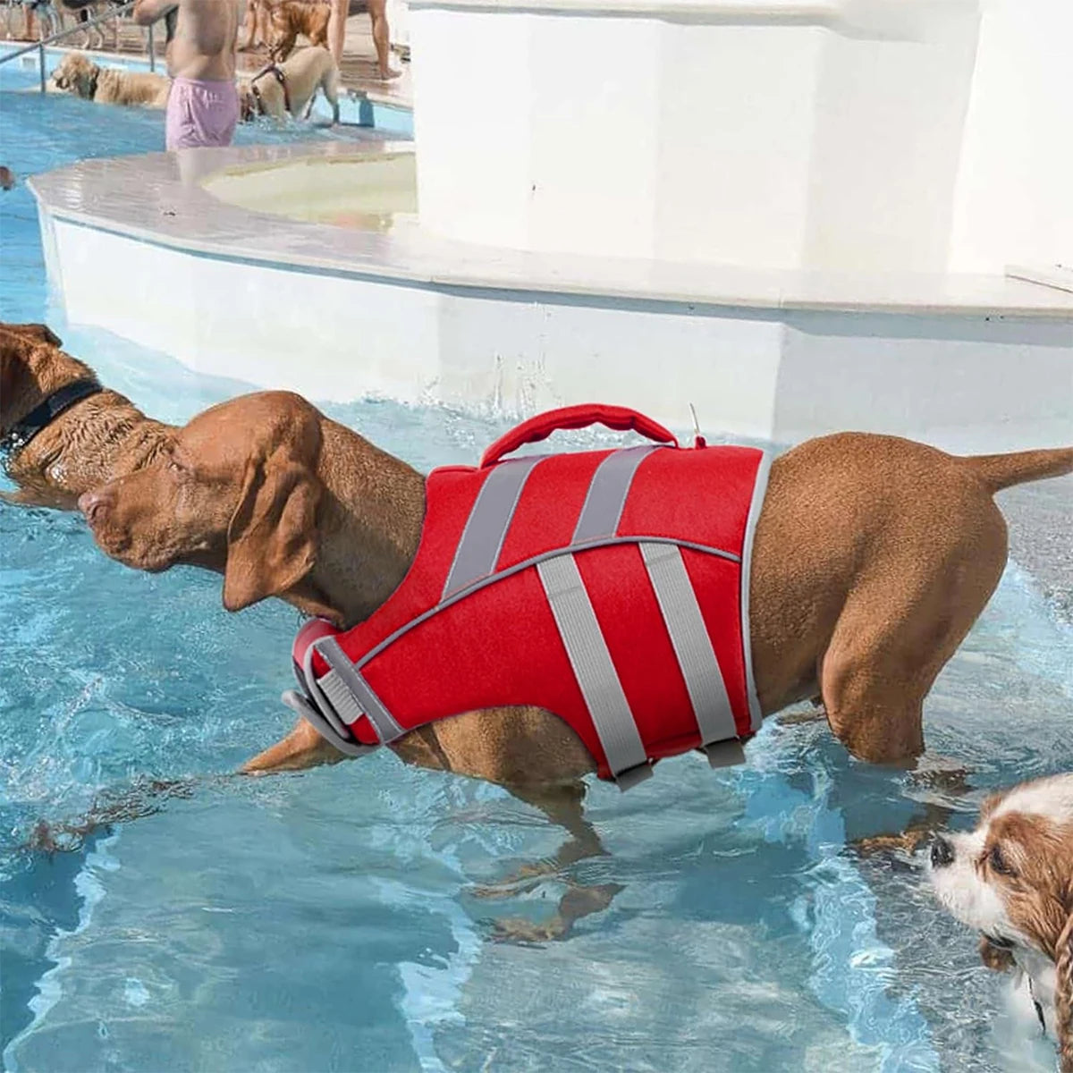 Red waterproof dog life jacket with reflective stripes and rescue handle for safe, stylish swimming