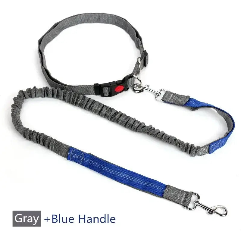 Retractable Dog Leash with Adjustable Waist Rope Hand Free Running Jogging Cycling Big Dogs Pet Elasticity Lead Pet Supplies in gray and blue.