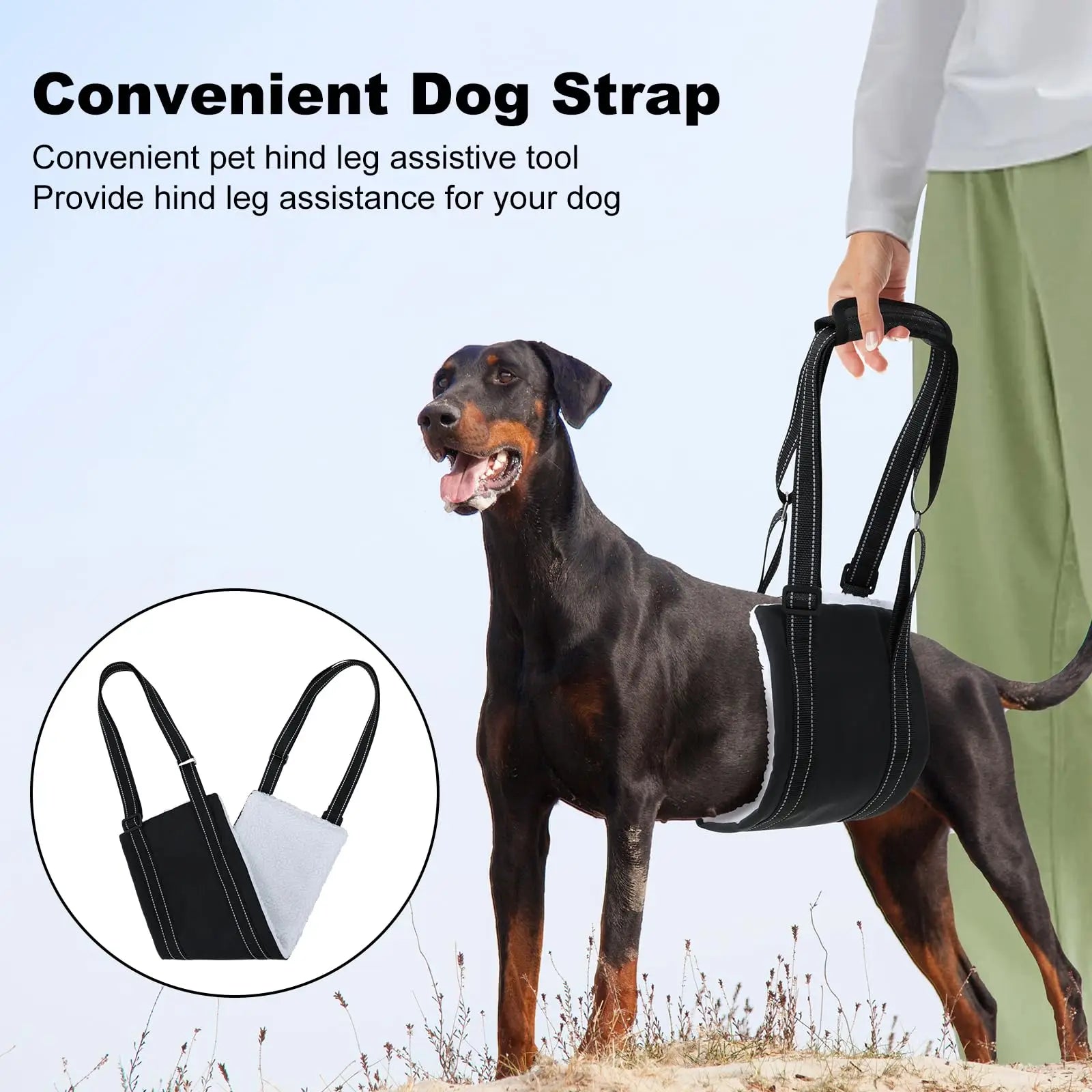 Sb67837dc0f7b4ad29bda791e7afdfbd1c - bestdoggylife.shop