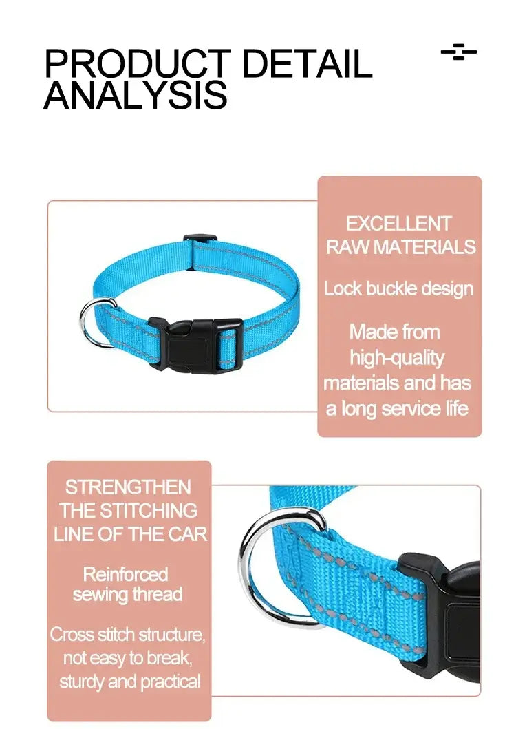 small dog choker collar blue nylon buckle collar with reinforced stitching and durable metal ring