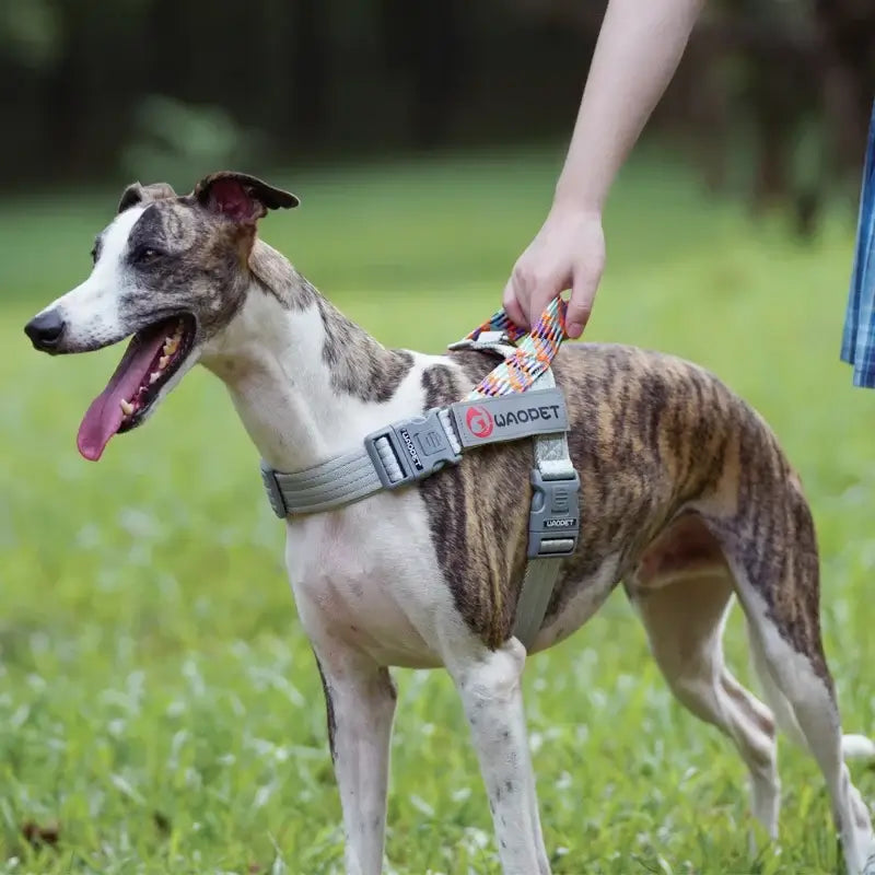 no pull dog harness for large dogs with reflective durable nylon and quick release buckle