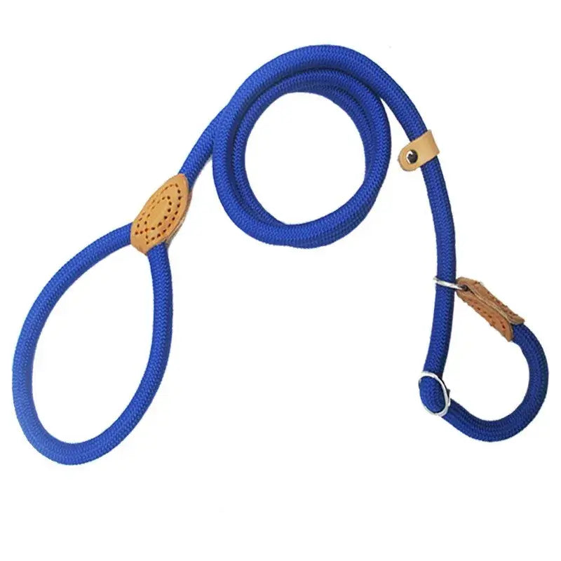 Dog Walking Leash Slip Rope Lead Leash Heavy Duty Braided Rope Adjustable Loop Collar Training Leashes for Large Dogs