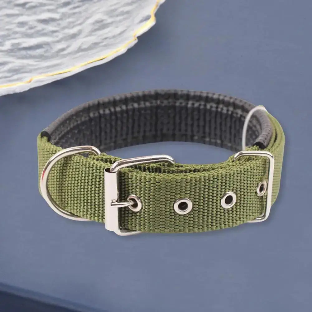 adjustable nylon dog collar green padded pet neck strap with metal buckle and traction ring