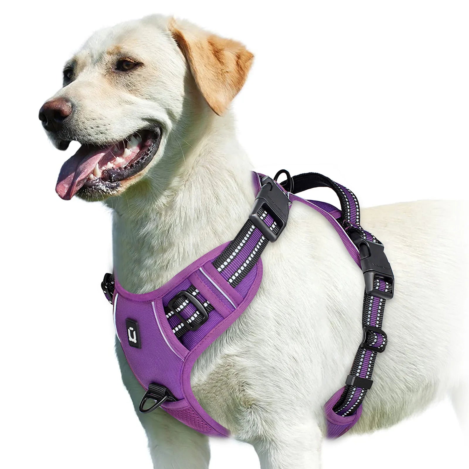 Sbb6489a35fbf4226a96ff46de08bf3d5G - bestdoggylife.shop
