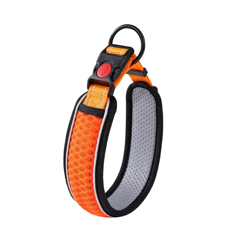 Orange dog collar with black trim and padded mesh lining, basic puppy collar for pet walking and training