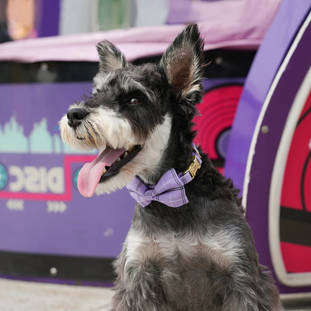 Sbffd3fda335e4635a297b1cfe8a896a9O - bestdoggylife.shop