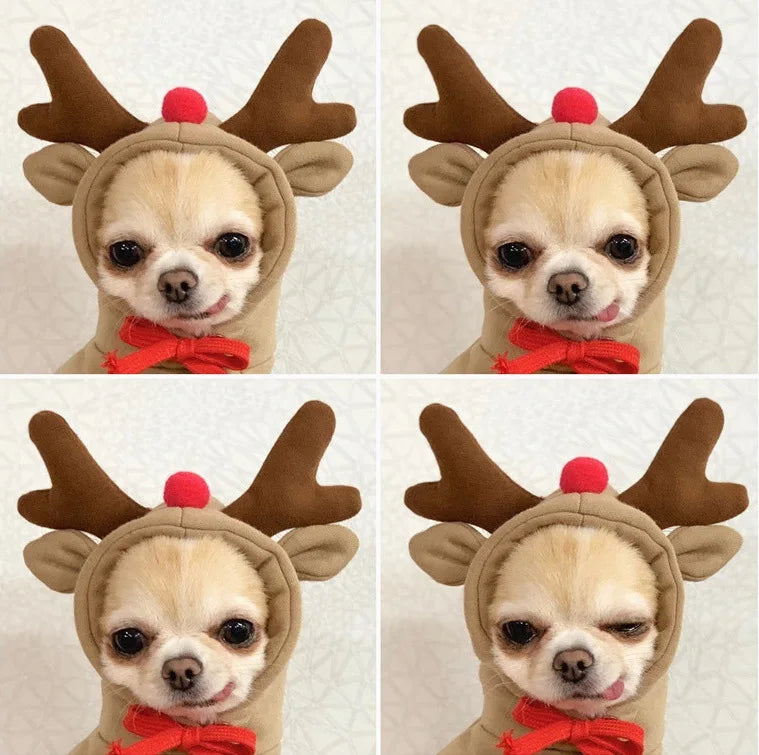Sc2a5250515754bf8a339d8b5f2e76c912 - bestdoggylife.shop