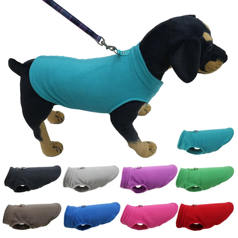 Sc2f501d98bc24bd998f42b38637dd02fz - bestdoggylife.shop