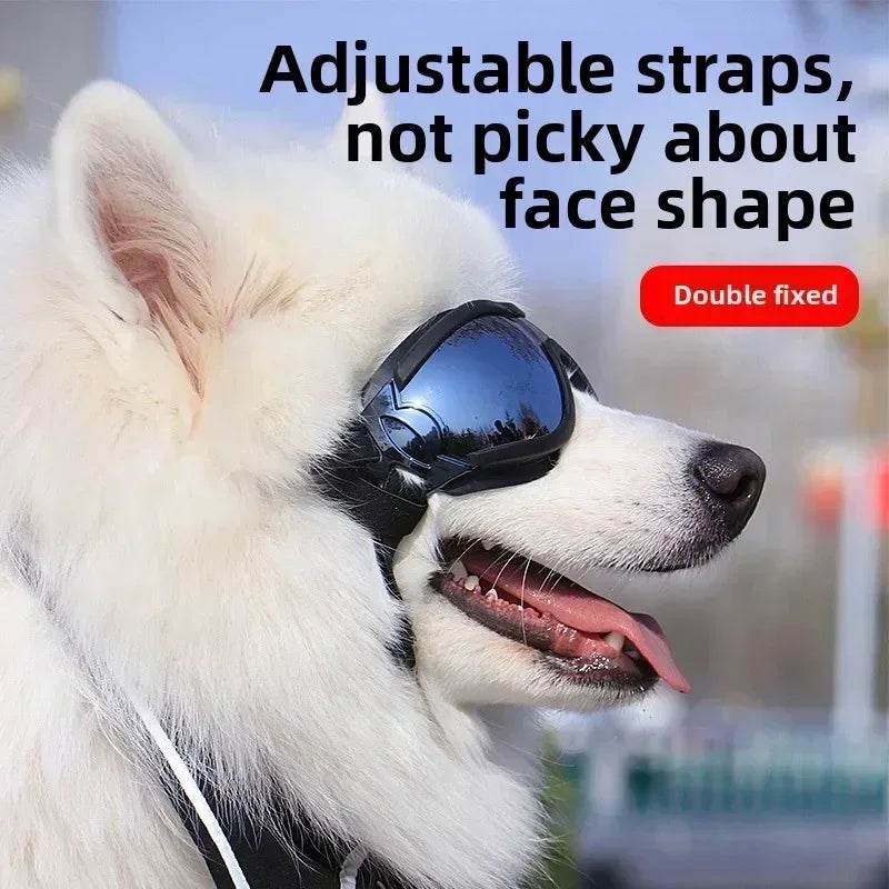 Sc3b47a9b5622459da8ada77aad8f6254i_29f96bce-6f2e-4cc2-98f3-9e23723ec1c6 - bestdoggylife.shop