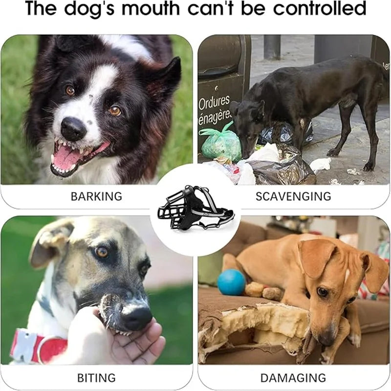 Collage of dogs barking, scavenging trash, biting, and damaging furniture to show behavior issues.