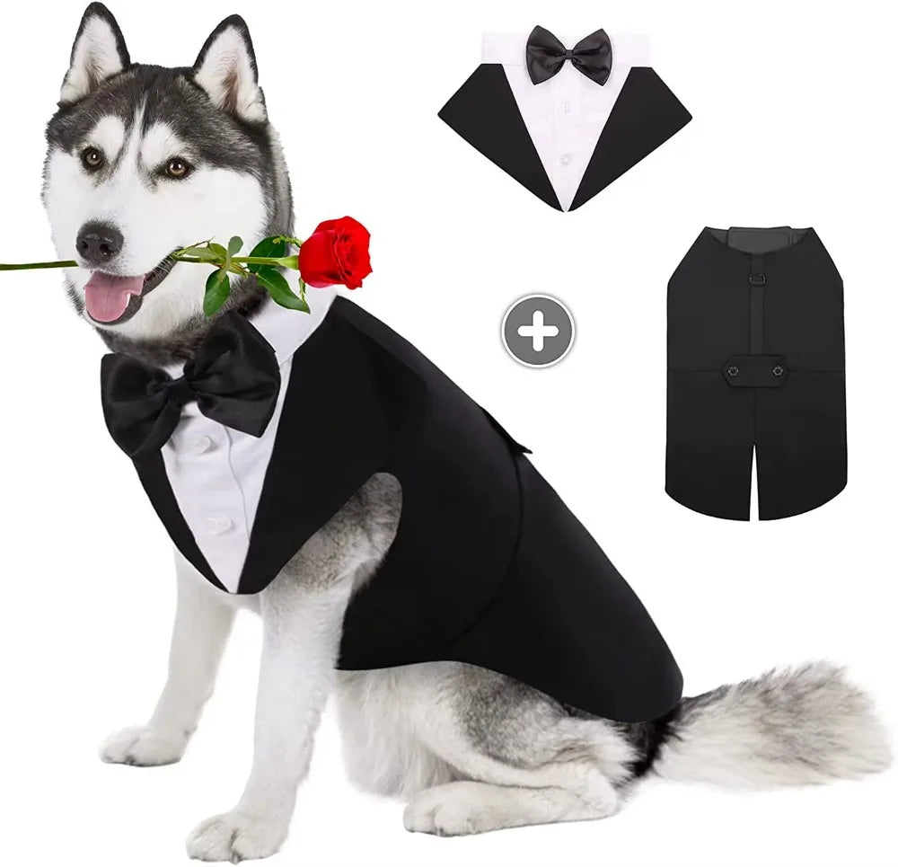 Sc630be1ea8694c5fba81dd43b075459aE - bestdoggylife.shop