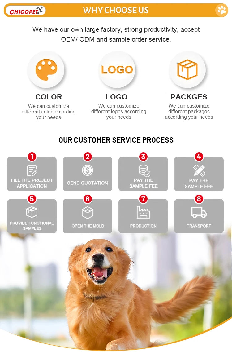 Sc6b2c88a9ef34d05b3f37b154ed7356cj - bestdoggylife.shop