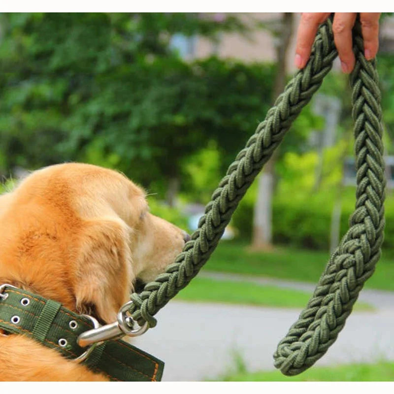 Sc80ed64fec23452ba770082b8ade7b073 - bestdoggylife.shop