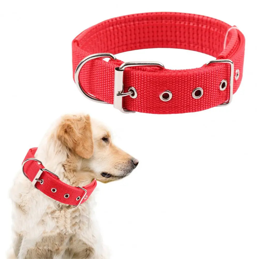 Sc85ad0562323491580b8f1c0963da9fb6 - bestdoggylife.shop