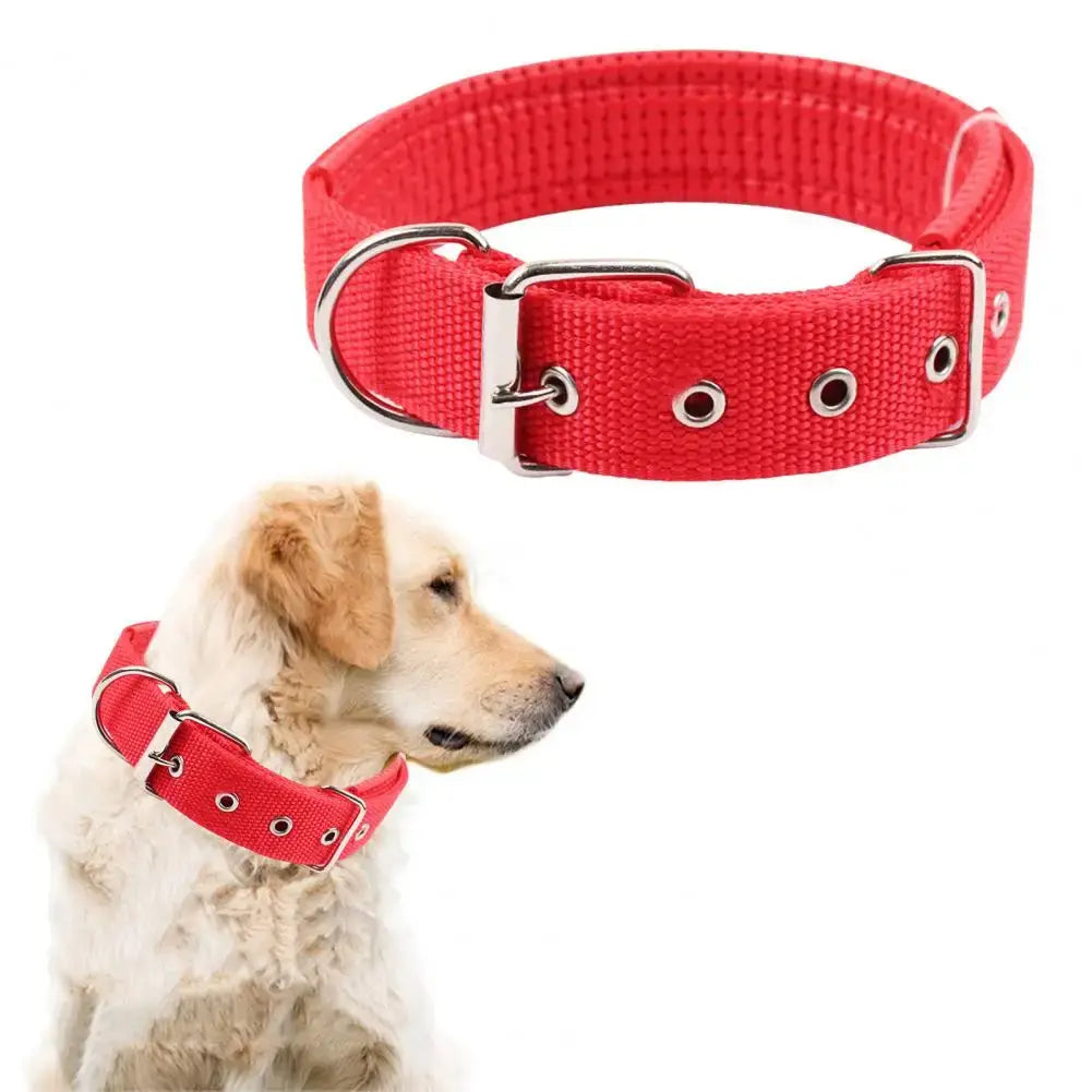 adjustable nylon dog collar red with traction ring for durable pet neck strap and all-stage dogs
