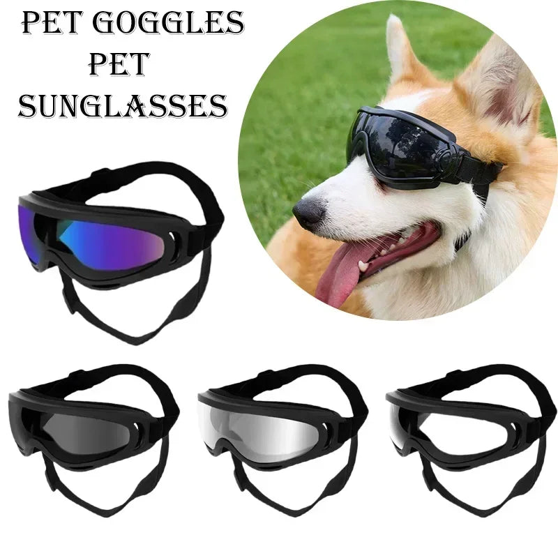 Scab7a807fcde48a8bd44434e4acb55c9x - bestdoggylife.shop