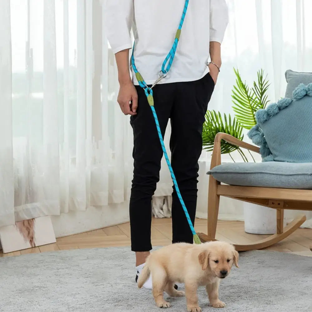 Scaefbdacae2141a1bf0e8936baa52a53X - bestdoggylife.shop
