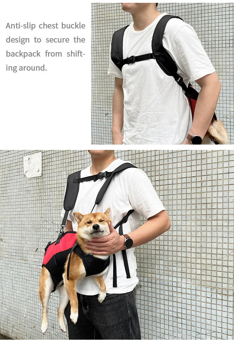 Dog backpack carrier for hiking and biking with anti-slip chest buckle and secure belly support for comfortable pet transport