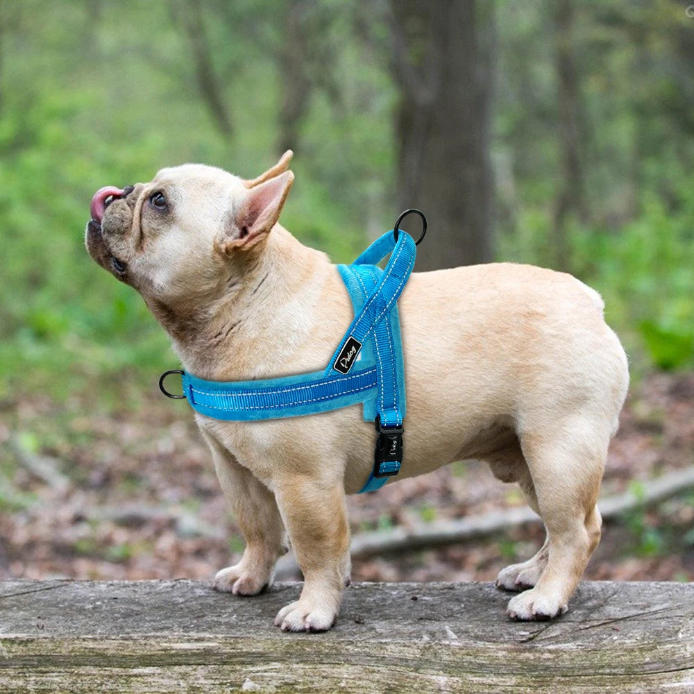 Warm Winter Dog Harness No Pull Dog Harnesses Vest Soft Padded Pet Harnesses Vests Reflective For Small Large Dogs Bulldog Pug