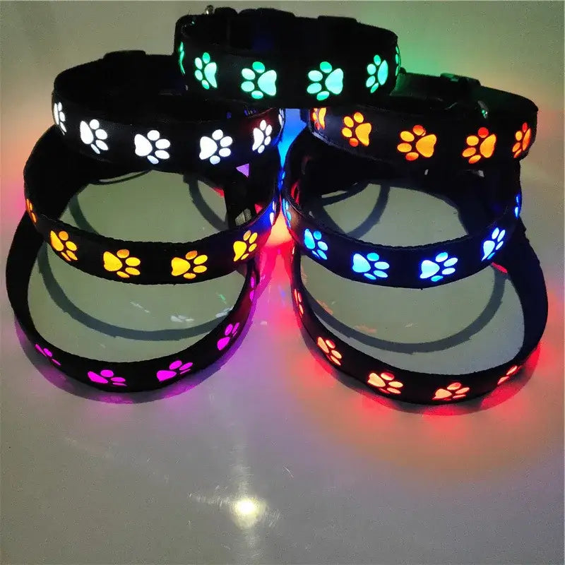 luminous dog collar with colorful LED paw prints for safe night walking, rechargeable pet collar