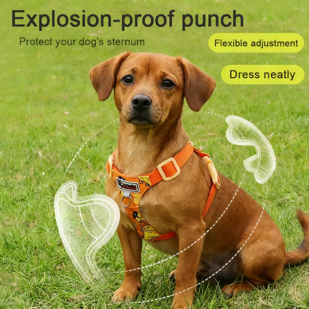 Puppy print dog harness and leash set, cute adjustable soft padded no-pull vest for small and medium dogs