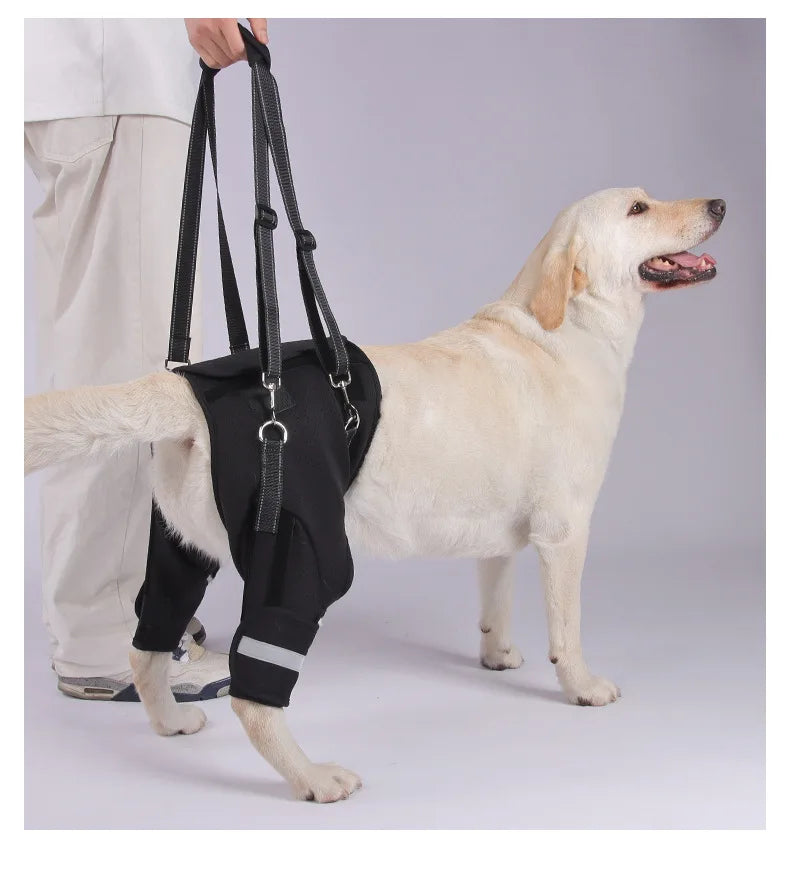 Sd1d3bdbadbda4340a8652a19444fe480q - bestdoggylife.shop