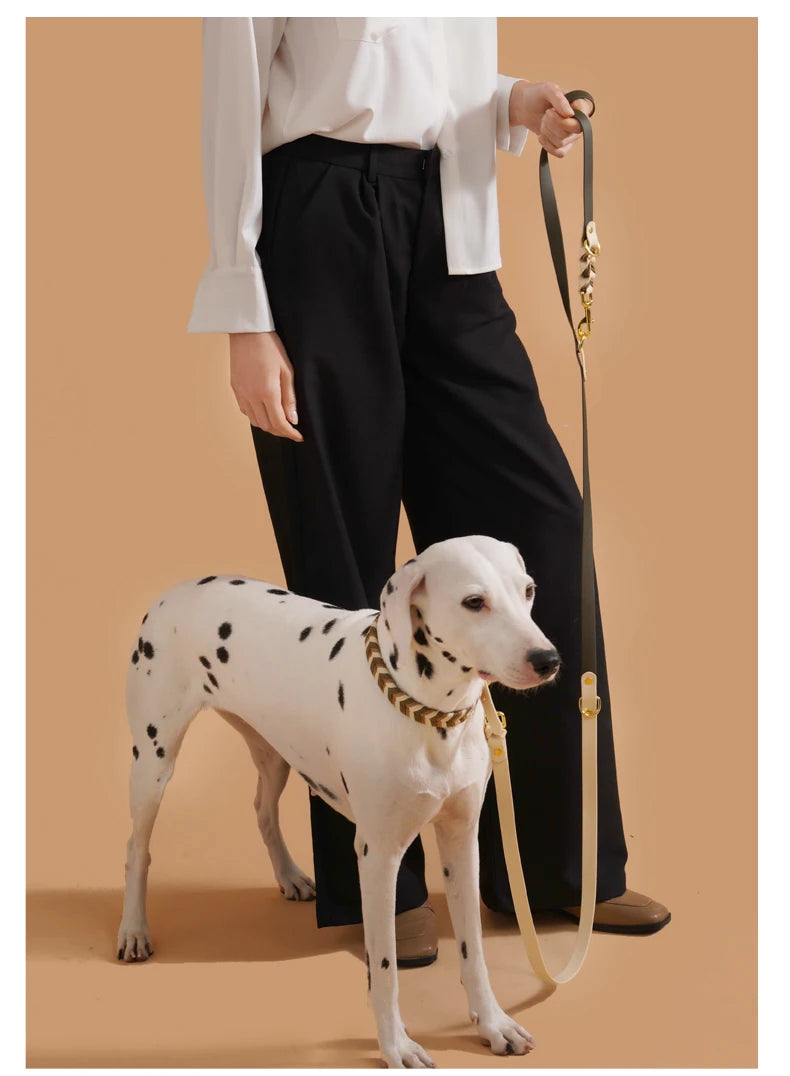 Hands free dog leash with durable rope for medium large dogs, colorful handmade luxury design