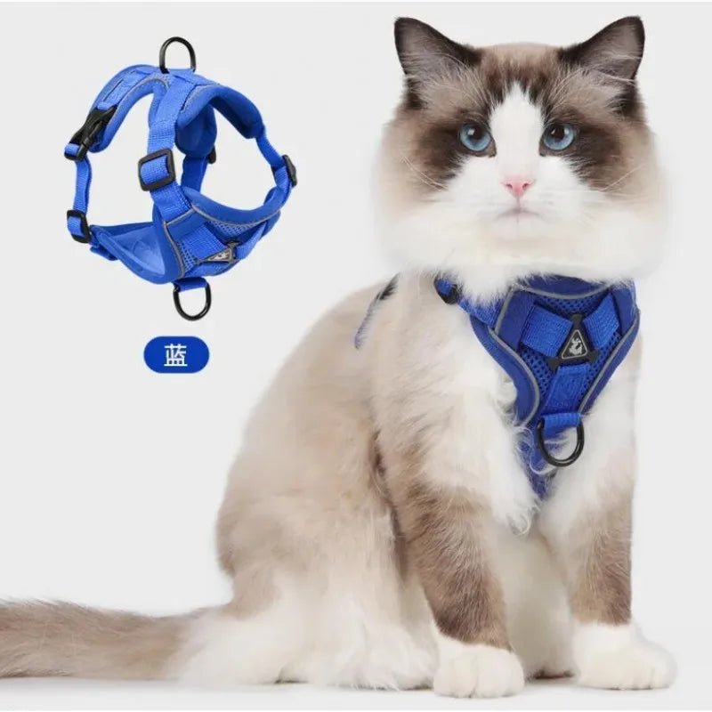 Blue reflective cat harness and leash set with breathable mesh nylon harness for small cats and kittens