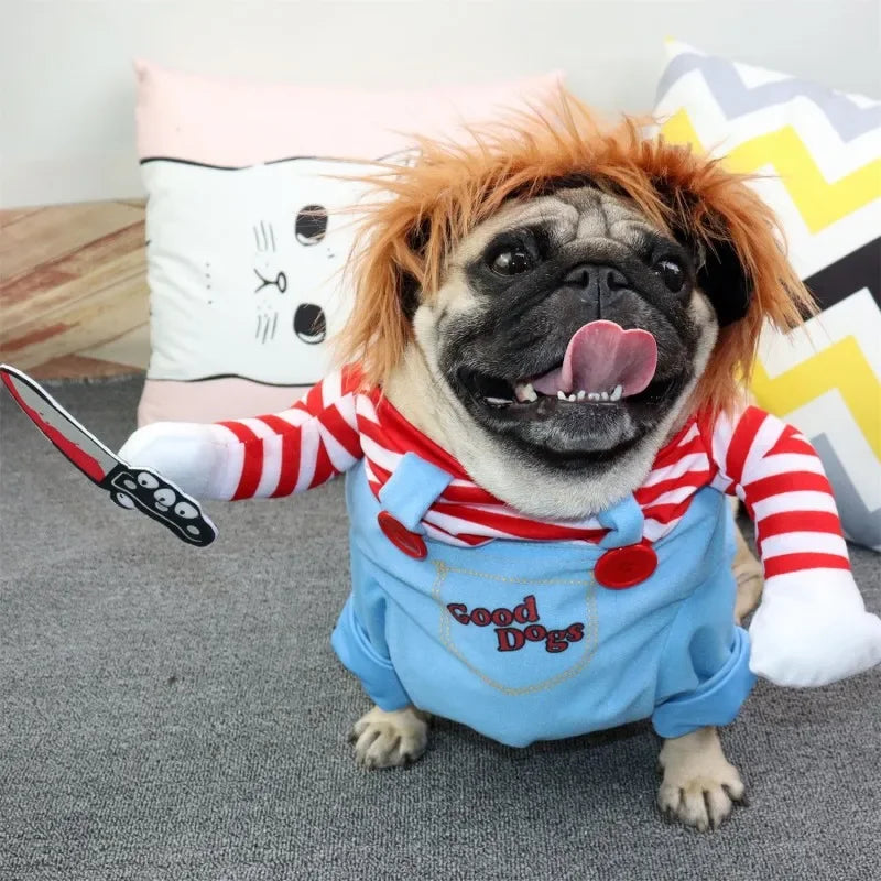 Pug dog in funny striped costume with red wig, holding a toy knife, sitting on carpet.