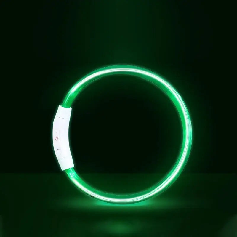 Green LED dog collar with USB rechargeable white clasp, glowing luminous safety collar for S/M/L dogs at night