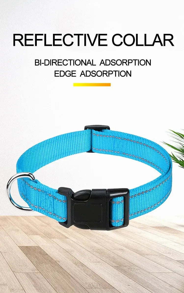 Reflective small dog choker collar with blue nylon strap, buckle closure, and secure black clasp for all seasons