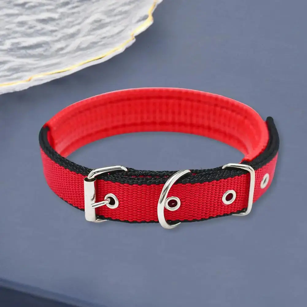 Red adjustable nylon dog collar with metal buckle and traction ring, durable pet neck strap for all stages