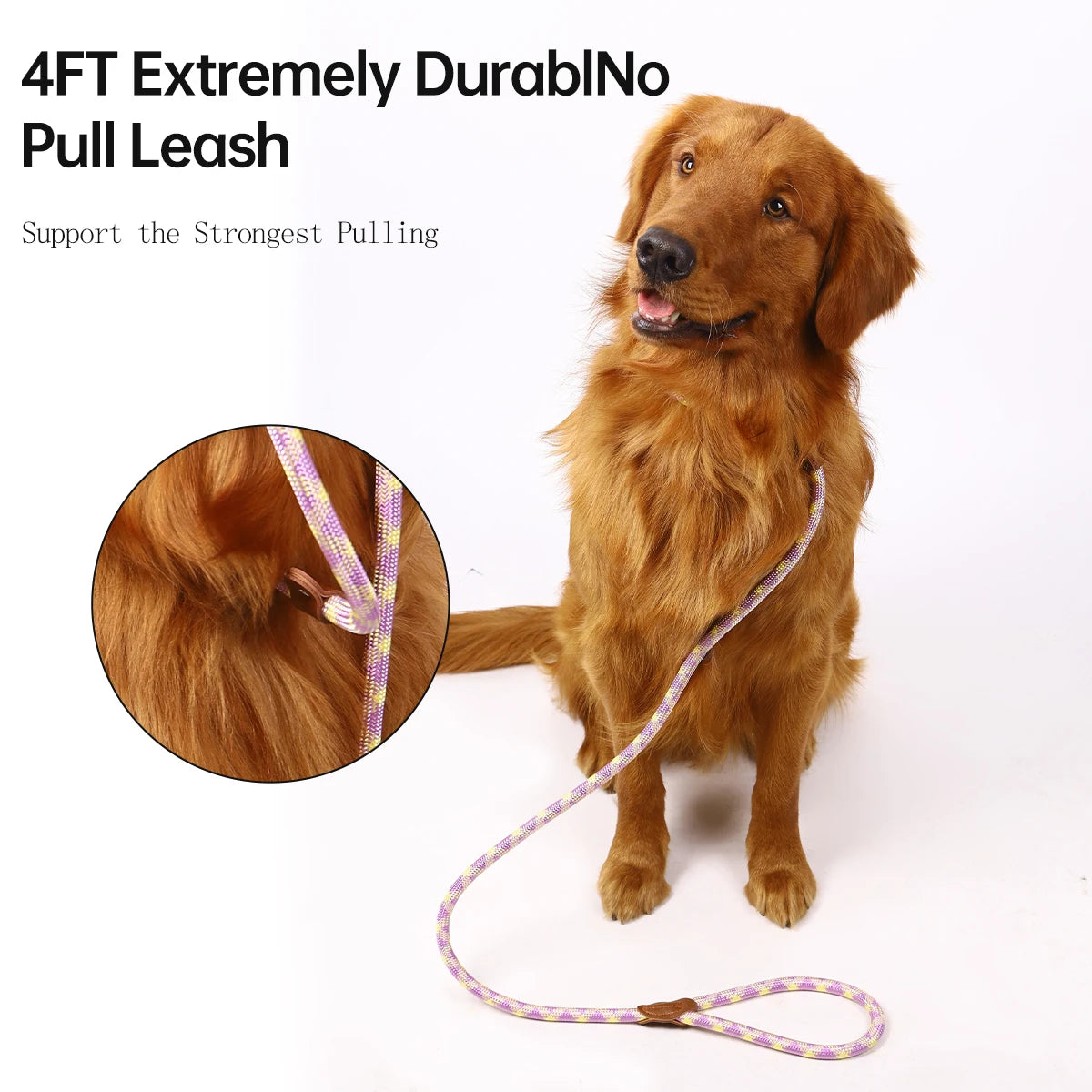 Sde94654721454433be0c40e0d46df15dW_fc336e45-b596-4fad-9d92-f1aac2f5580b - bestdoggylife.shop