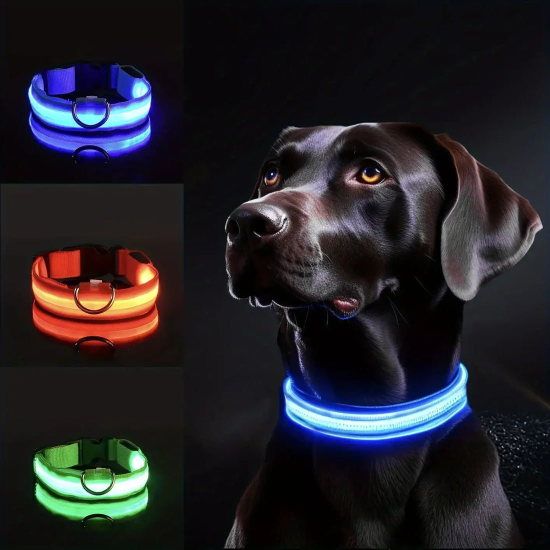 LED dog collar for night safety, glowing reflective nylon collar for small and medium dogs, battery-powered in blue, red, and green