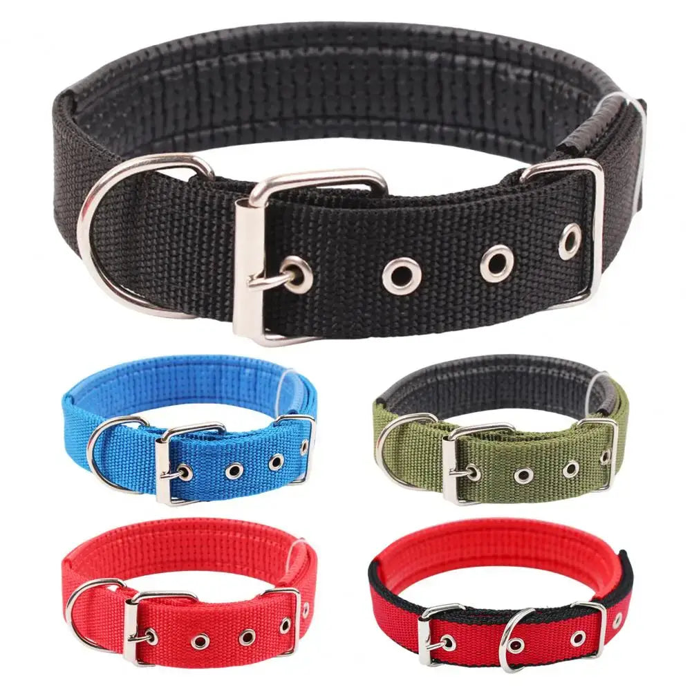 Adjustable nylon dog collar with durable metal buckle and traction ring, shown in black, blue, green, and red options.